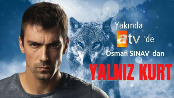 قصة مسلسل الذئب الوحيد التركي Yalnız Kurt والقناة الناقلة