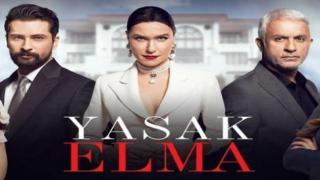 الحلقة 24 من مسلسل التفاح الحرام الموسم الرابع